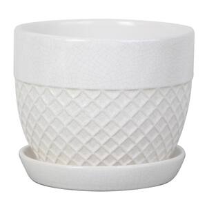 6 in. Delilah Small Glazed White Textured Ceramic Planter (6 in. D x 5 in. H) with Drainage Hole and Attached Saucer