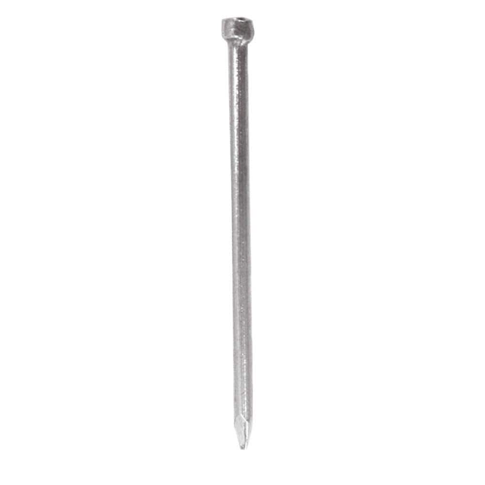 OOK 17 x 11/2 in. Steel Bright Wire Brad Nails (183Pack) 52938 The