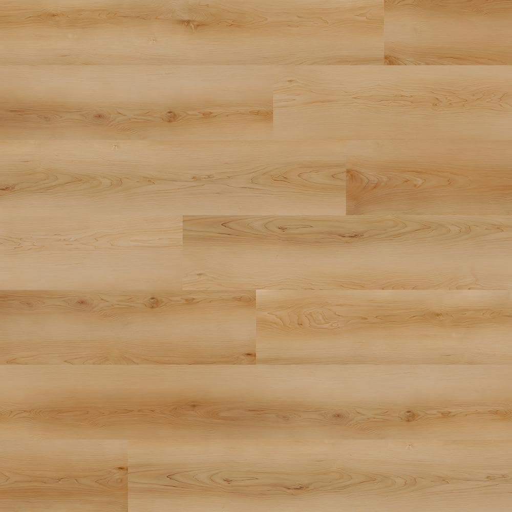 Liz Marie's Paradise Sand 20-MIL x 7 in. x 48 in. Glue Down Waterproof Luxury Vinyl Plank (42 sq. ft./CTN) price history on PriceWatchPro