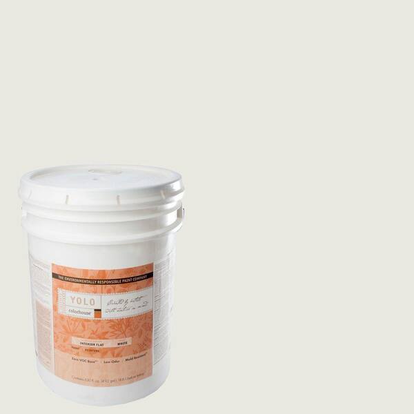 YOLO Colorhouse 5-gal. Imagine .06 Flat Interior Paint-DISCONTINUED
