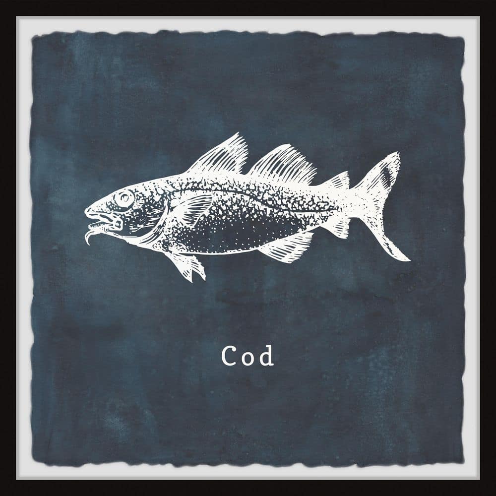 Cod by Marmont Hill Framed Animal Art Print 12 in. x 12 in.