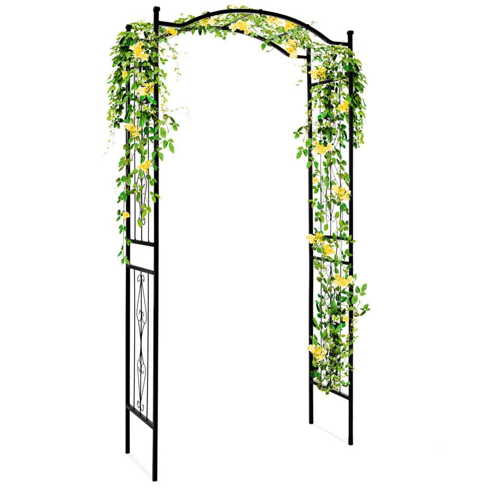 Black Steel Garden Arch Arbor with Wire Lattice for Climbing Plants