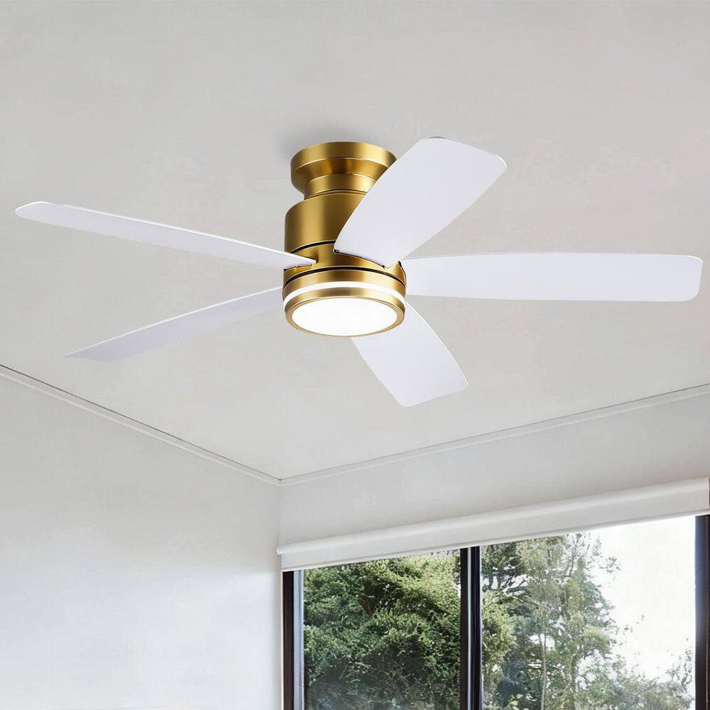 41 in. Indoor/Outdoor Modern Gold Ceiling Fan with Dimmable 3 Color LED Light and Remote/APP Control price history on PriceWatchPro