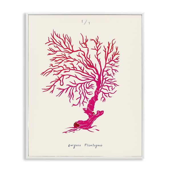 Sea Fauna Coral by Marina Astudillo White Framed Coastal Giclee Art Print 14 in. x 11 in.