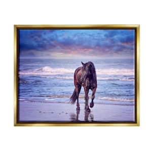 Wild Horse on Beach Colorful Blue Sunset by PHBurchett Floater Frame Animal Wall Art Print 25 in. x 31 in.