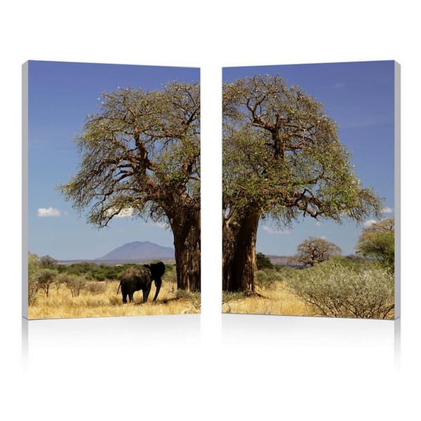 Baxton Studio Tree of Life Unframed Photography Wall Art 23.62 in. x 15.75 in