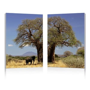 Tree of Life Unframed Photography Wall Art 23.62 in. x 15.75 in