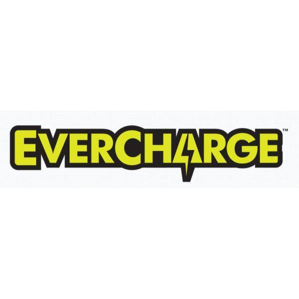 RYOBI - ONE+ 18V Lithium-Ion Cordless EVERCHARGE LED Area Light with (1) 1.3 Ah Battery and (1) Wall Mount Adaptor Charger