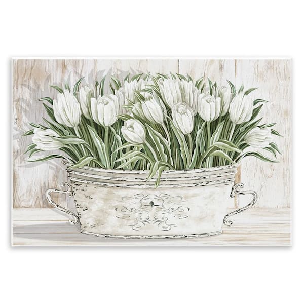 Stupell Industries Fresh White Tulip Flowers Vintage by Cindy Jacobs 1 Piece Unframed Nature Graphic Art Print 19 in. x 13 in.