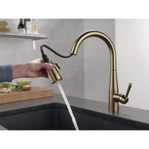 Essa Single Handle Pull-Down Sprayer Kitchen Faucet with MagnaTite Docking in Champagne Bronze