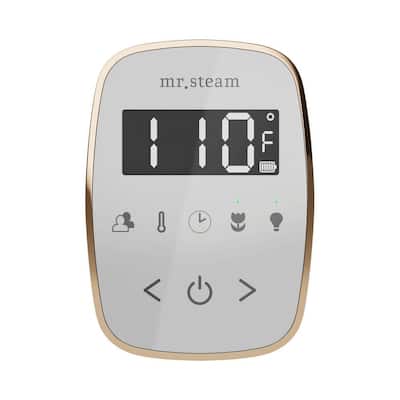 ButlerFlex Steam Shower Control Package with TempoFlex Control and Linear Steamhead in White Polished Chrome