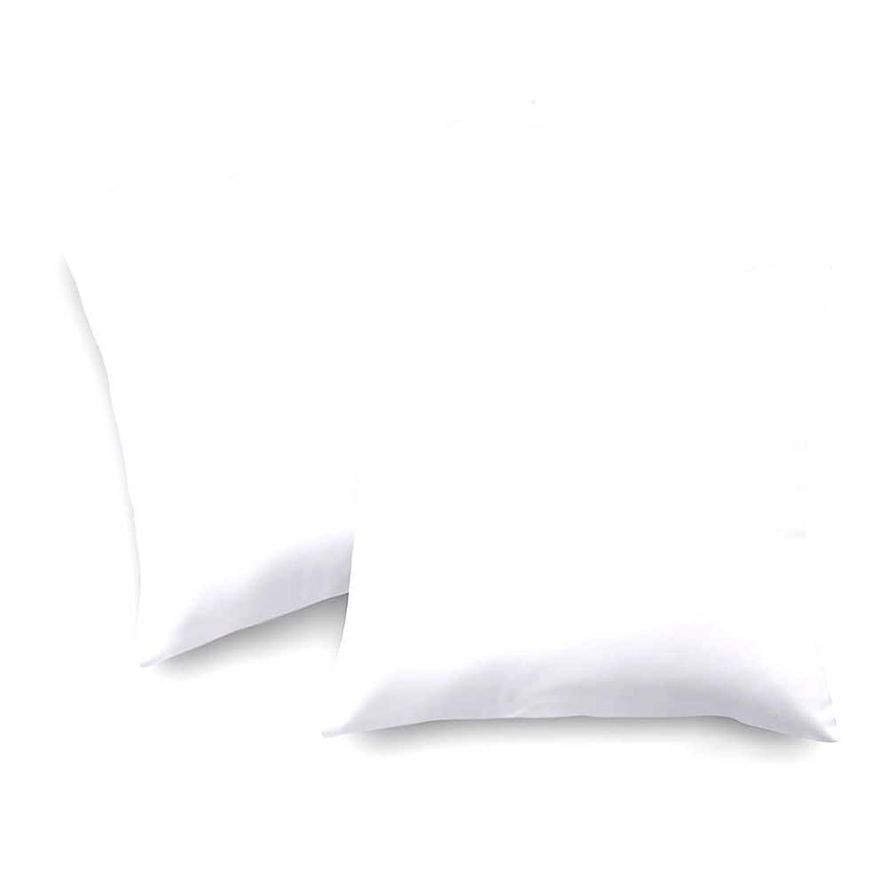 20 x 20 in. White Rectangle Outdoor Throw Pillow Inserts Pack of 2 price history on PriceWatchPro