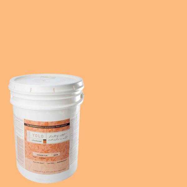 YOLO Colorhouse 5-gal. Sprout .02 Flat Interior Paint-DISCONTINUED
