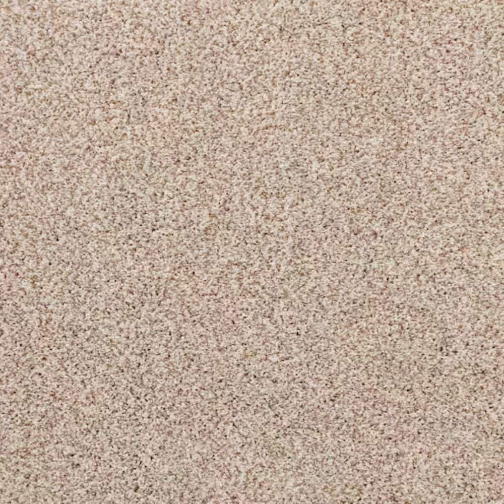 8 in. x 8 in. Texture Carpet Sample-Magalynn II-Color Sand Dunes price history on PriceWatchPro