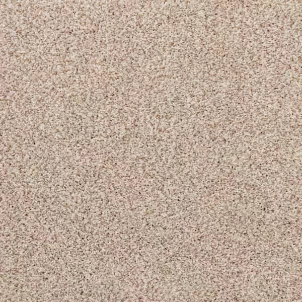 8 in. x 8 in. Texture Carpet Sample-Magalynn I-Color Sand Dunes