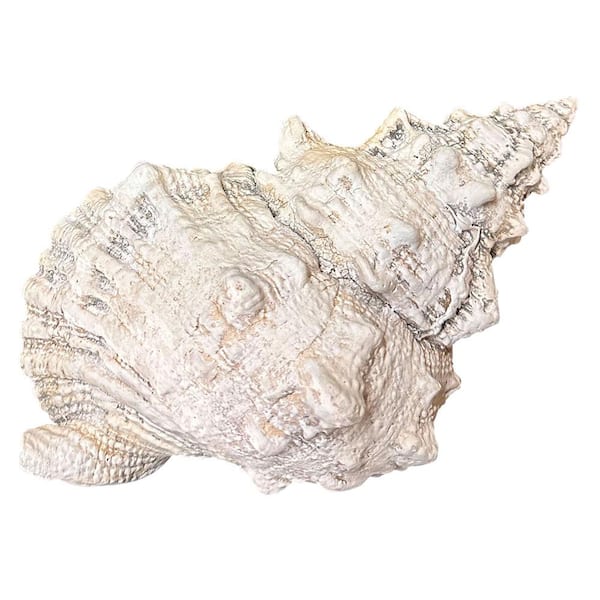 House Parts SHELL: BURSA WEDDING SHELL