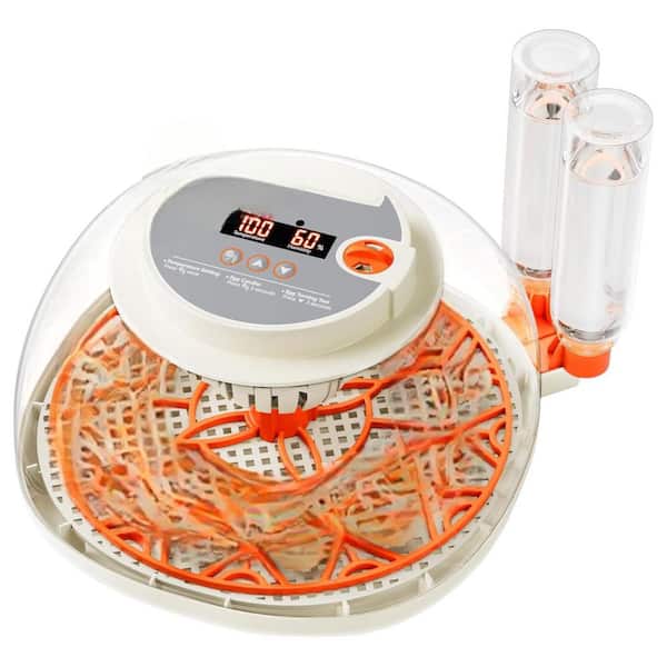 12 Egg Incubator with Temperature Humidity Display, Automatic Turning, 360° Airflow Circulation, Easy Clean Equipment