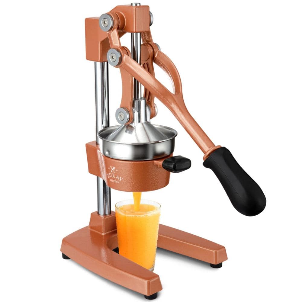 Cast Iron Manual Citrus Juicer price history on PriceWatchPro