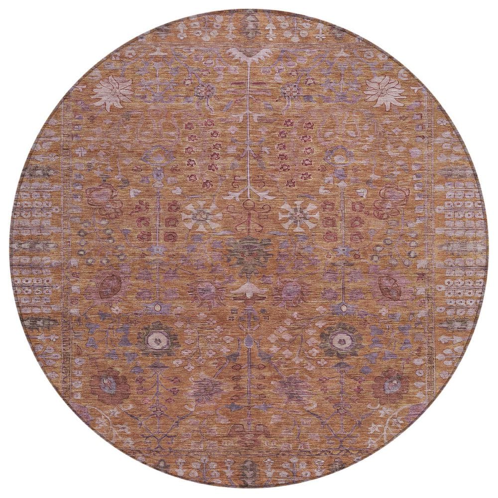 Chantille Machine Washable Indoor/Outdoor Abstract ACN2231 Copper 8 ft. x 8 ft. Area Rug price history on PriceWatchPro