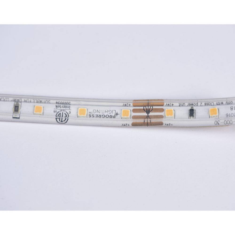 12-Inch Unfinished Silicone LED Tape Light