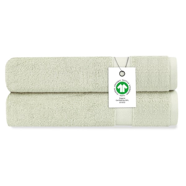 Delara Delara Green Tint Solid 100% Organic Cotton Luxuriously Plush Hand Towel (Set of 2)