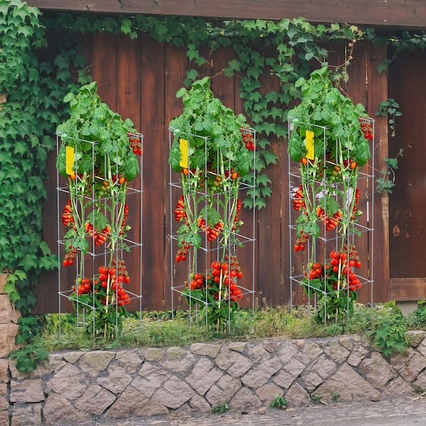 SVOPES Tomato Cages-11.8 in. x 11.8 in. x 46.1 in., 10 packs