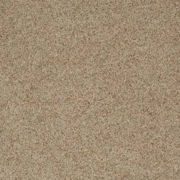 SoftSpring Carpet Sample - Impeccable I - Color Santa Fe Texture 8 in. x 8 in.