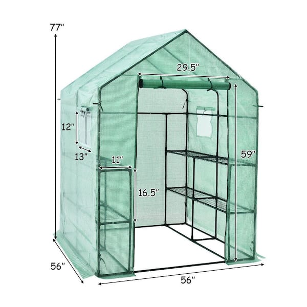 56 in. W x 56 in. D x 77 in. H Outdoor Walk-in Greenhouse with Observation Windows