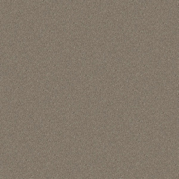 TrafficMaster Watercolors II - Feathered Beige - 38.4 oz. Polyester Texture Installed Carpet