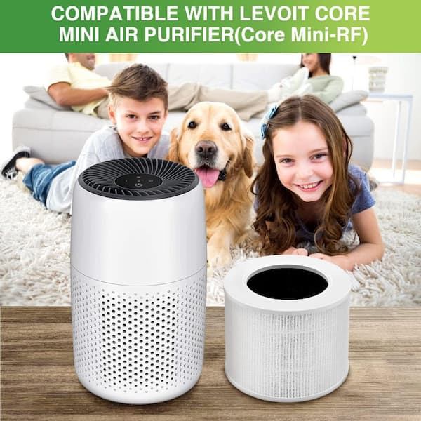 Edendirect 6 in. True HEPA Air Purifier Accessory Filter, 2-Filter