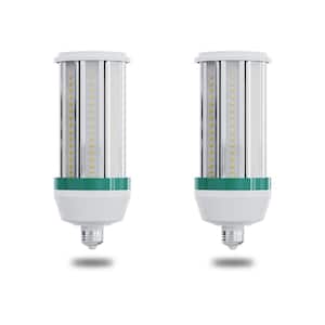 300-Watt Equivalent 5000 Lumens LED E26 Cob Light Bulb 5000K Daylight (2-Pack)