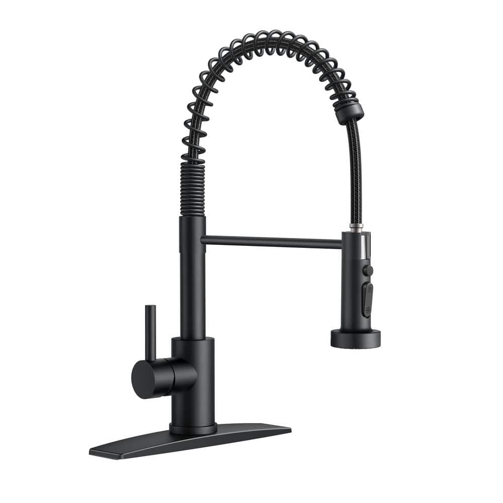 ANZA Single-Handle Pull Down Sprayer Kitchen Faucet with Deckplate in ...