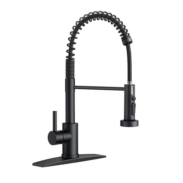 ANZA Single-Handle Pull Down Sprayer Kitchen Faucet with Deckplate in Matte Black
