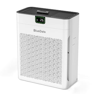 1100 sq. ft. H13 HEPA Personal Air Purifier in White with PM2. 5 Sensor, Sleep Mode, for Pet Fur, Pollen, Cooking Smell