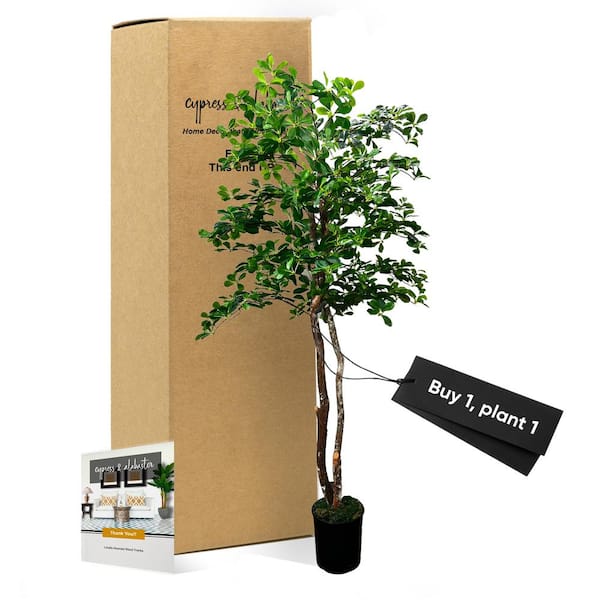 CYPRESS & ALABASTER Handmade 6 ft. Artificial Black Olive Tree in Home Basics Plastic Pot Made with Real Wood and Moss Accents