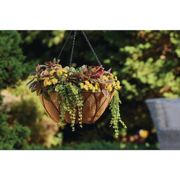 20 in. HyrdoSave Coconut Premium Liner (20 in. D x 8.1 in. H) for Basket Planter