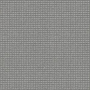 Lyrical Color Harvey Gray 38 oz. Nylon Pattern Installed Carpet