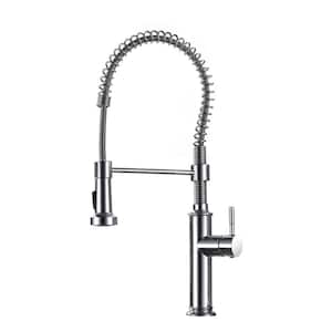 Single-Handle Pull-Down Sprayer Kitchen Faucet with Dual Function Sprayhead in Chrome