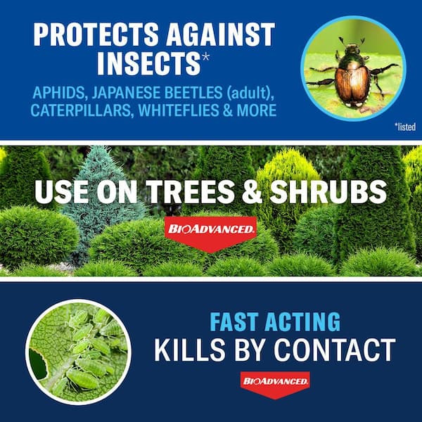 32 oz. Concentrate Tree and Shrub Insect Killer