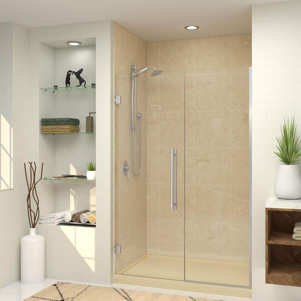 Elizabeth 54 in. W x 76 in. H Hinged Frameless Shower Door in Brushed Stainless with Clear Glass price history on PriceWatchPro