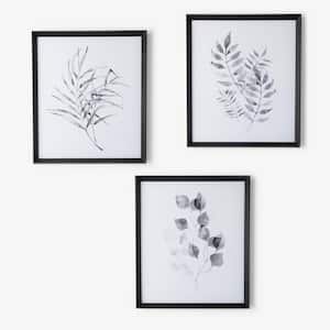 3-Piece Framed Botanical Wall Decor, 28 in. x 24 in .