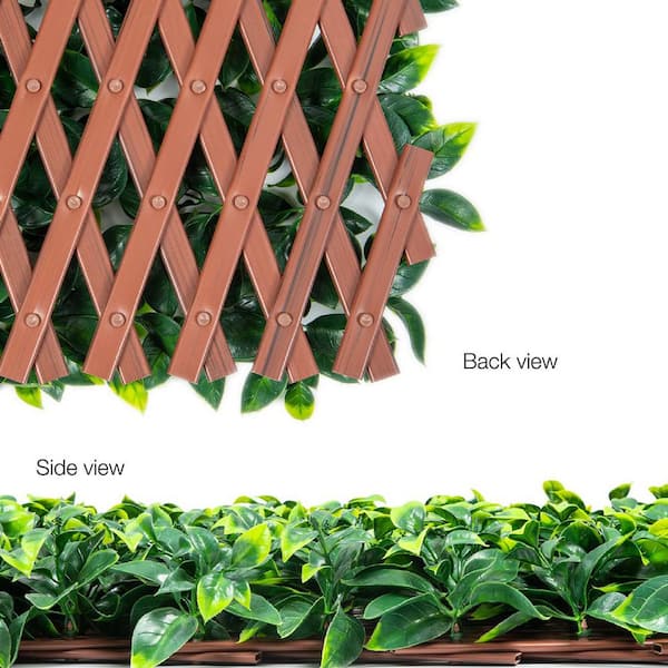 Reviews for Vigoro 36 in. H x 72 in. W Golden Artificial Gardenia