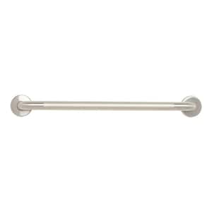 24 in. Stainless Steel Wall Mount Bathroom Shower Grab Bar in Peened with Satin Ends