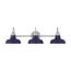 https://images.thdstatic.com/productImages/96259c65-16be-4d74-be96-a993db205d14/svn/brushed-nickel-with-cobalt-blue-hampton-bay-vanity-lighting-hb3672-336-64_65.jpg