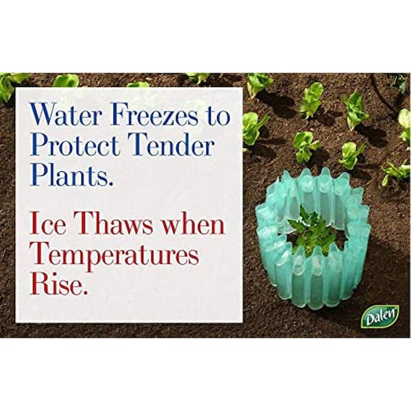 Dalen Season Starter Tomato Guard - 18 in. Red 3-Pack Wall O Water