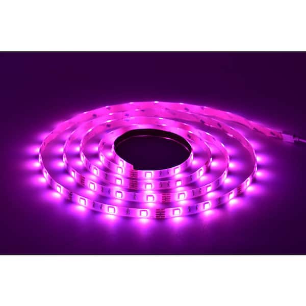 LED Strip Light – CrumbleProducts