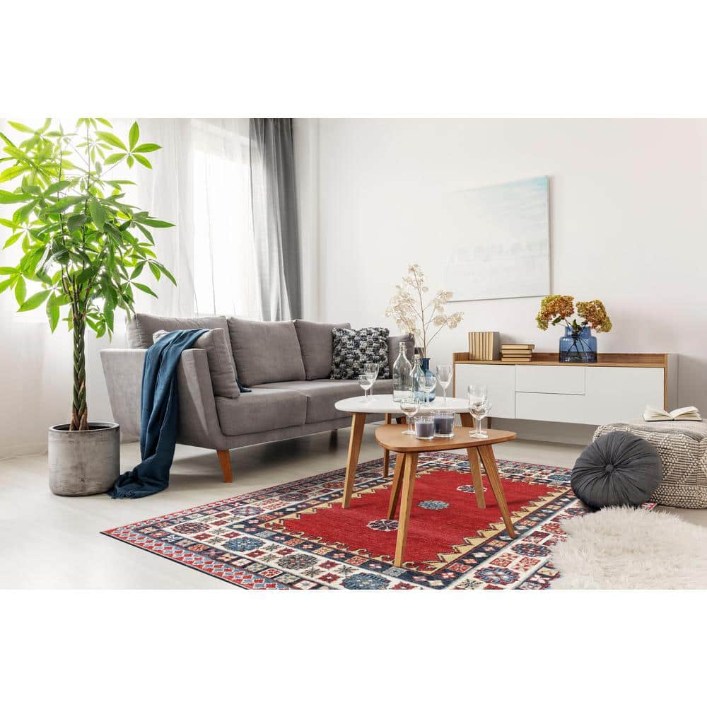Traditional Hand-Knotted Wool Rug, 8' x 10', Stain-Resistant