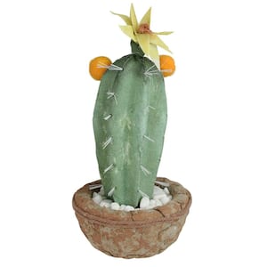 12 in. Southwestern Style Green Potted Artificial Cactus with Flowers