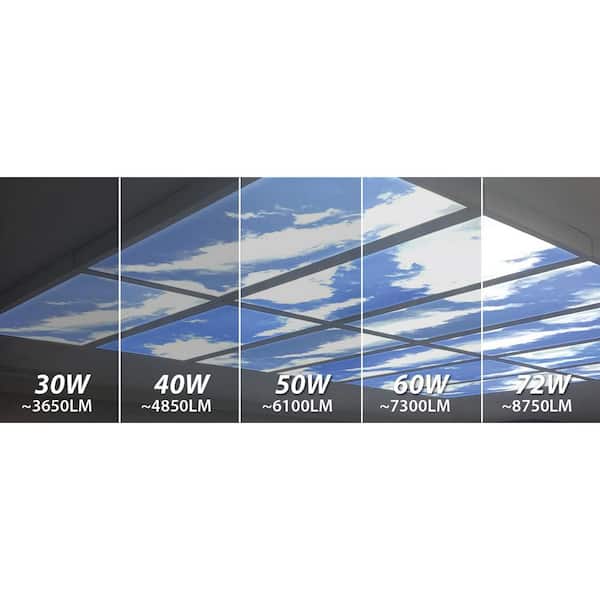 BEYOND LED TECHNOLOGY 2x4ft. Integrated LED Flat Cloud Panel 5