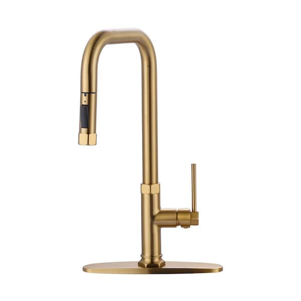 ALEASHA Single Handle Pull Down Sprayer Kitchen Faucet with Pull Out Spray Wand in Brushed Gold